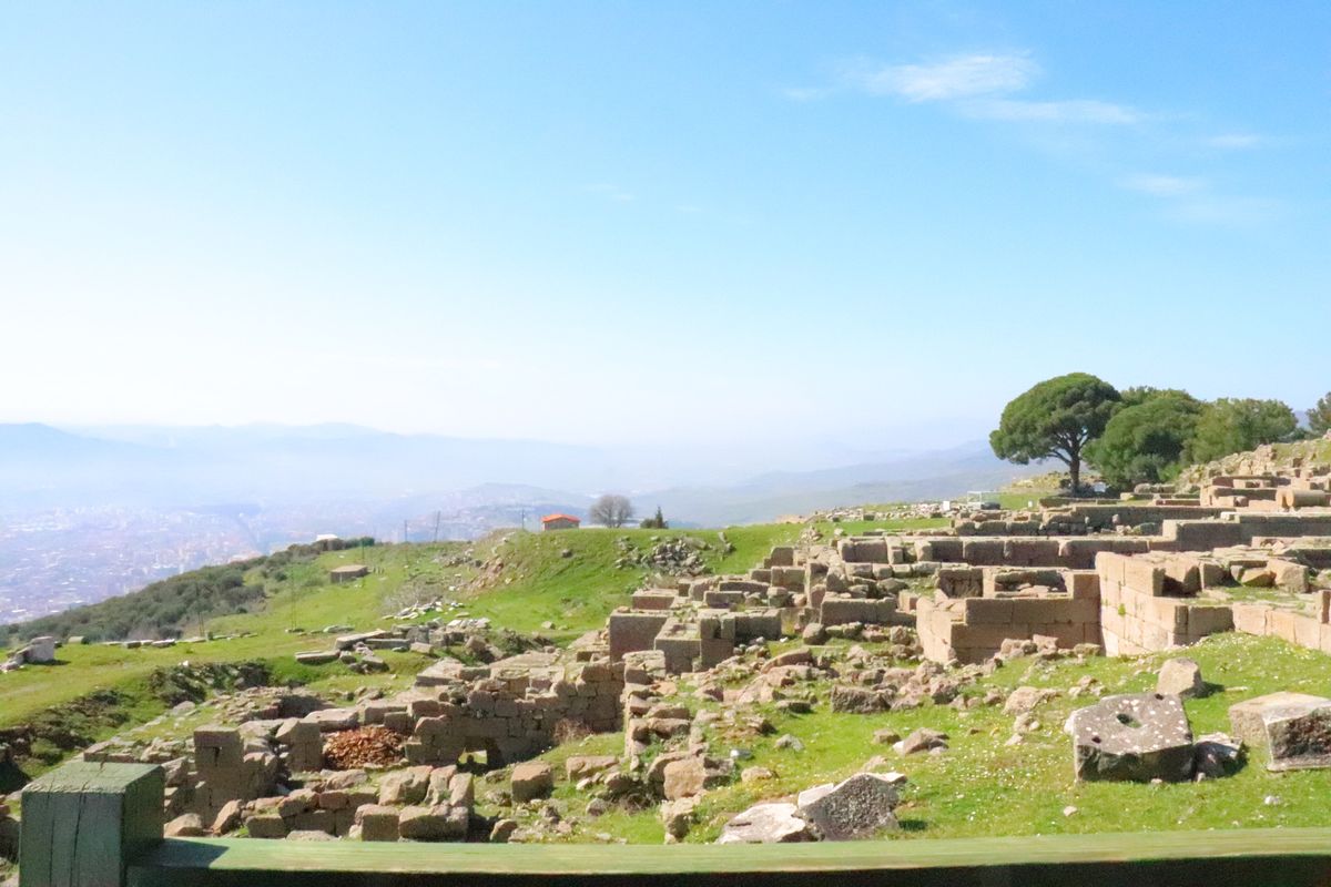 
ペルガモン遺跡

もういちど知識をいれて行きたい場所
せっかく行ったのに...