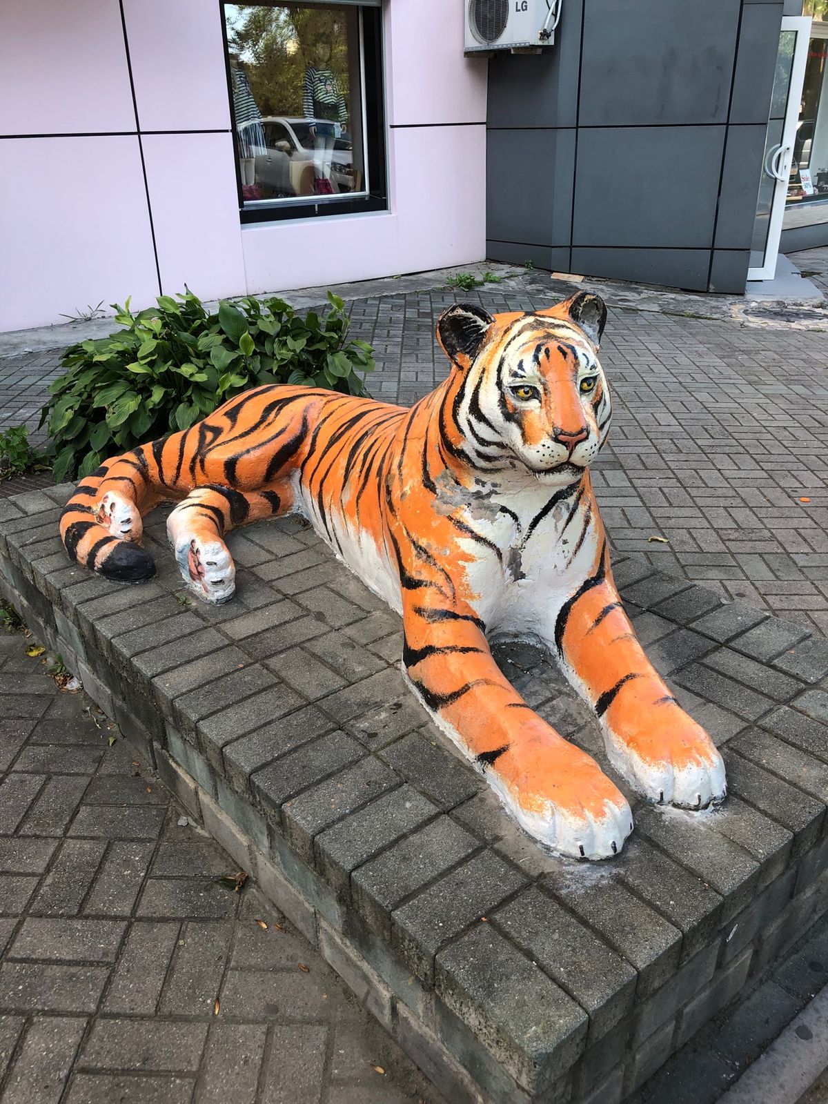 ホテルに向かう道の途中にウラジオストク のシンボルである、トラの像が。街並...