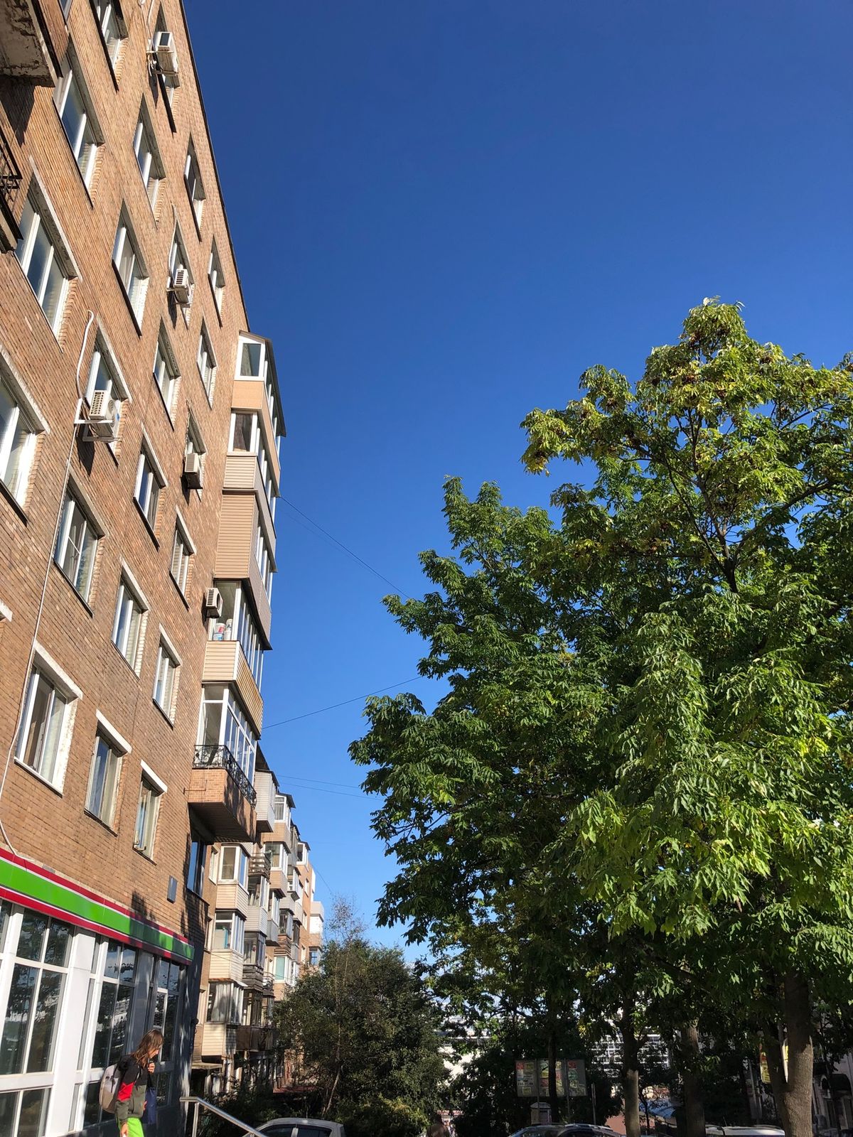 ホテルに向かう道の途中にウラジオストク のシンボルである、トラの像が。街並...