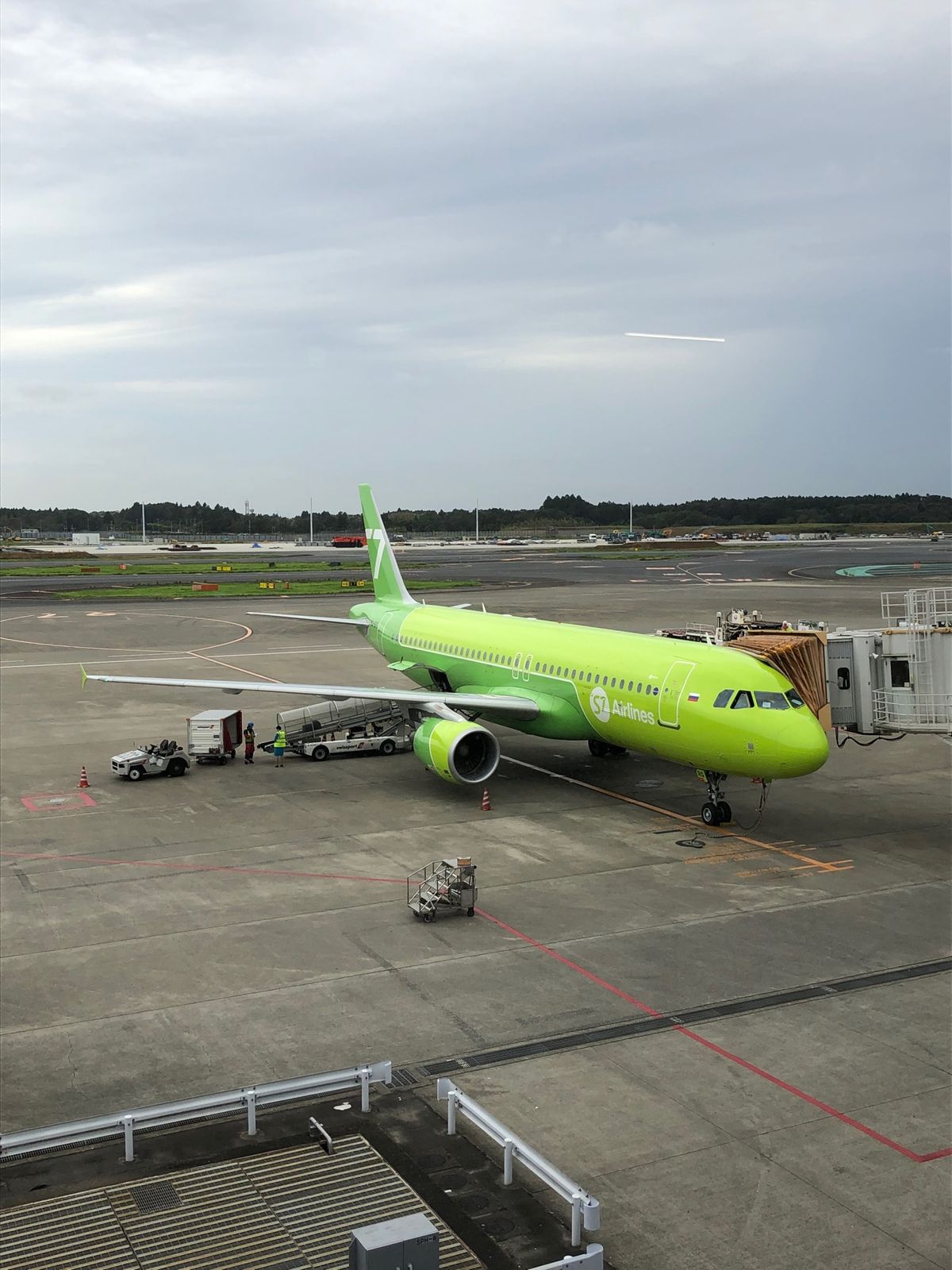 成田からの直行便のS7航空にてウラジオストク へ。
機内食のウワサのパサパ...