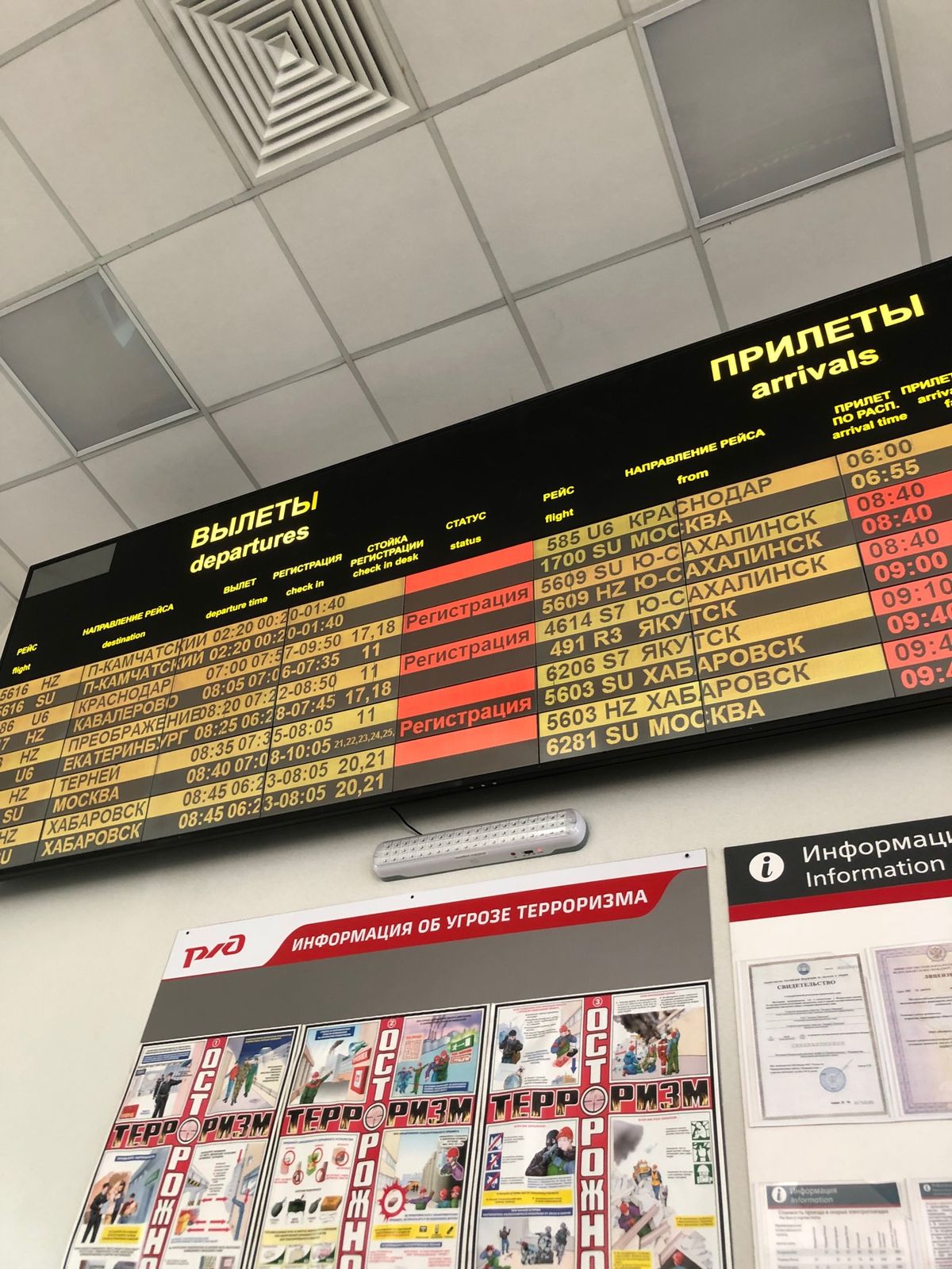 ホテルで飼ってる猫ちゃん🐈🐈‍⬛
ホテルに戻って、晩酌に夕食で食べ切れなく...