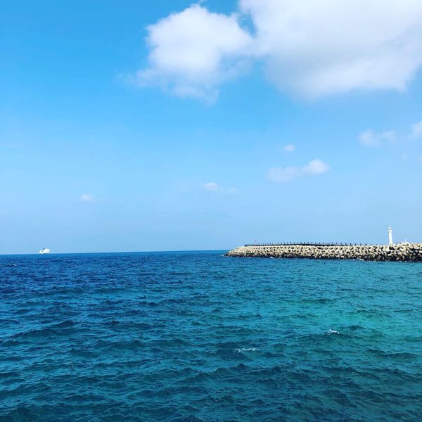大韓民国 (韓国)・済州島「2019年海外旅行初めin제주도(済州島)」の写真：ホテル前の防波堤。
海の青が綺麗。