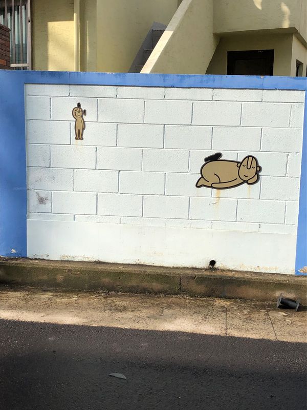 大韓民国 (韓国)・済州島「2019年海外旅行初めin제주도(済州島)」の写真：済州市内散策。