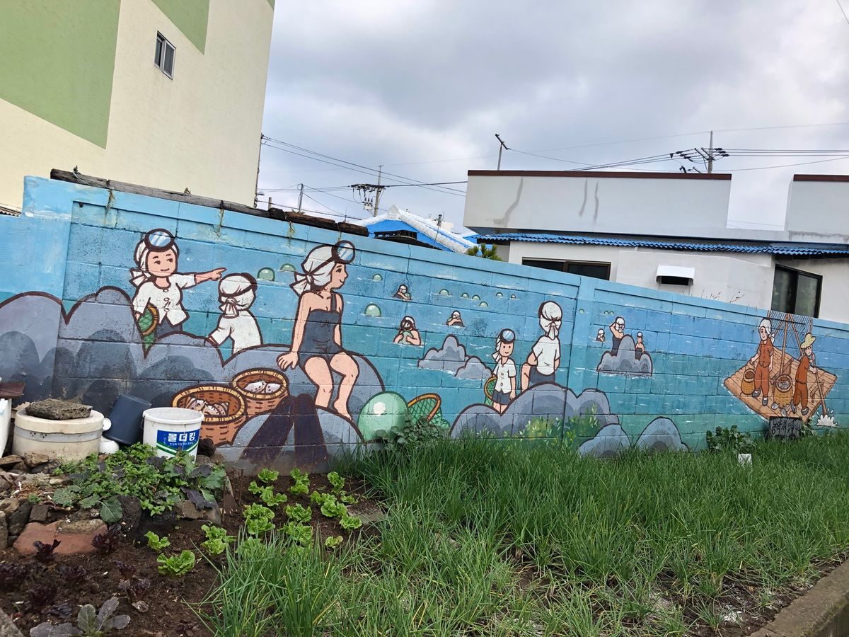 済州市内散策。