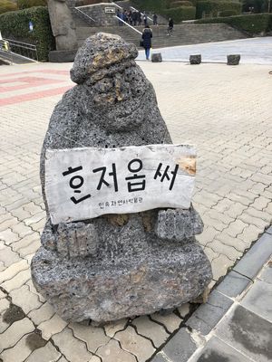 観光その3:제주도민석자연시박물관(済州島自然史博物館)
最終日の昼食は멸...