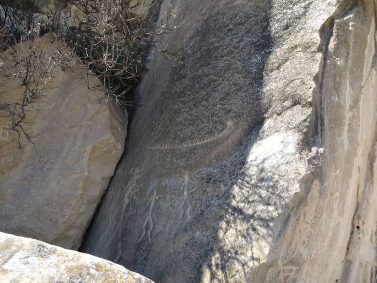 全ての写真は岩絵群で、人々、舟、牛や馬がわかります📷