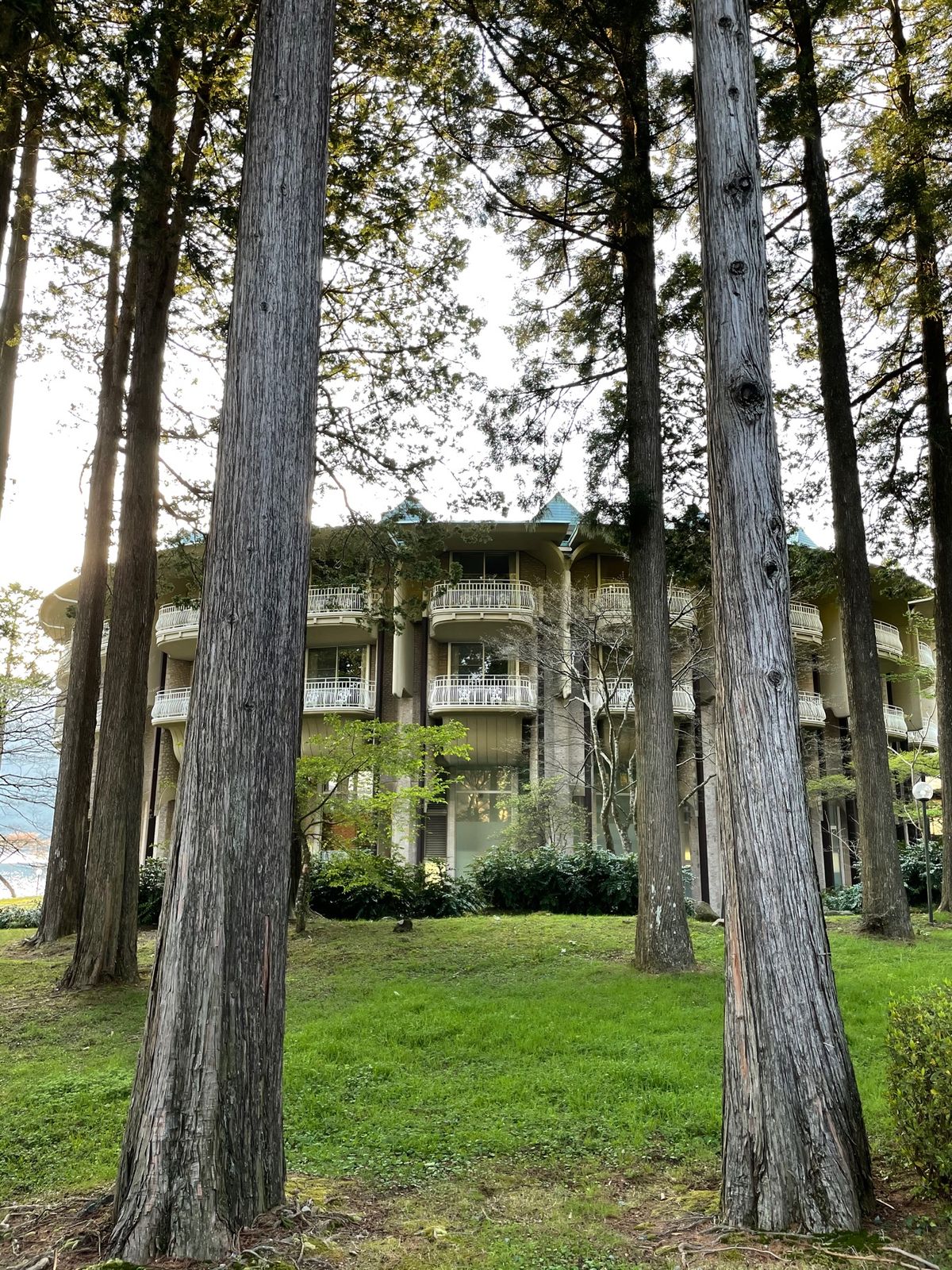 amexのフリーステイギフトで行って参りました
芦ノ湖ビューにして4000...