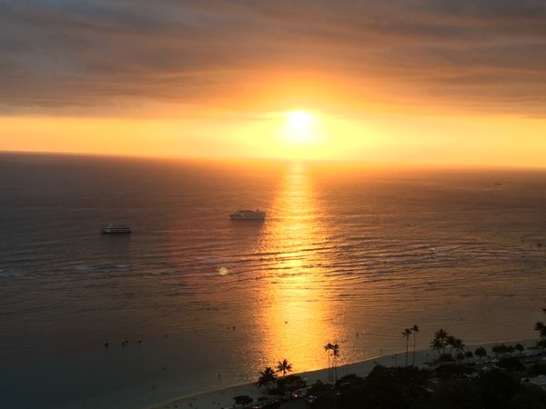 「hawaii」の写真