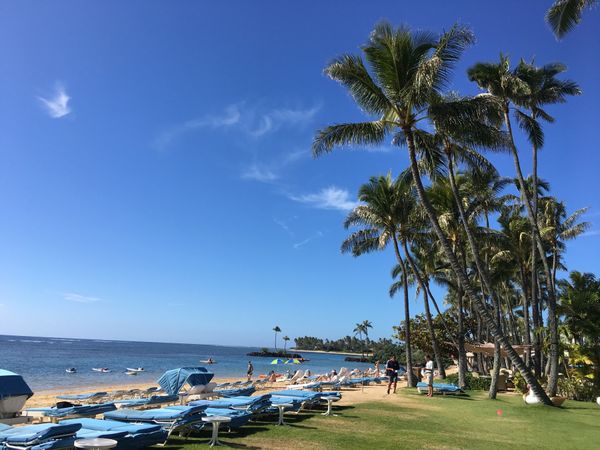 「hawaii」の写真