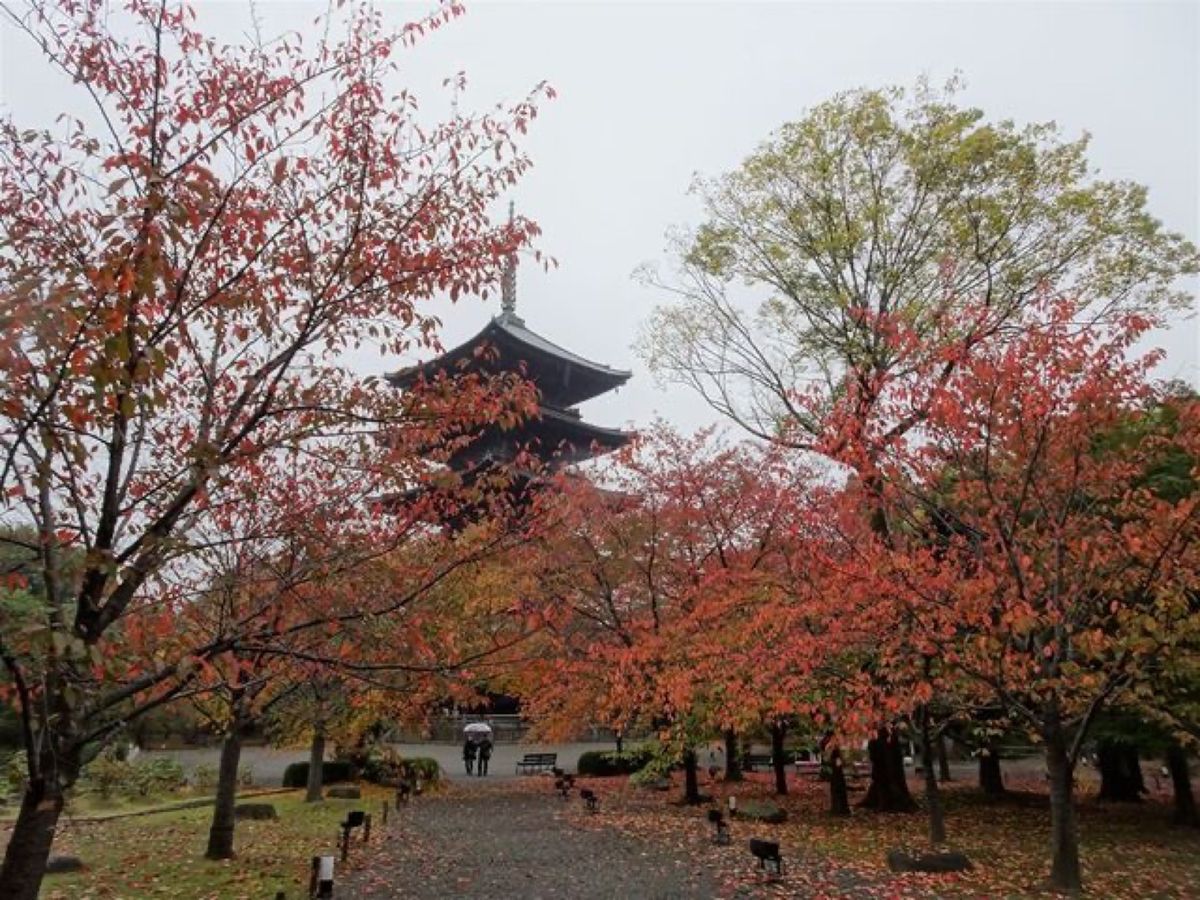 1枚目は五重塔と紅葉、2枚目は五重塔と瓢箪池、3枚目は五重塔と南大門、4枚...