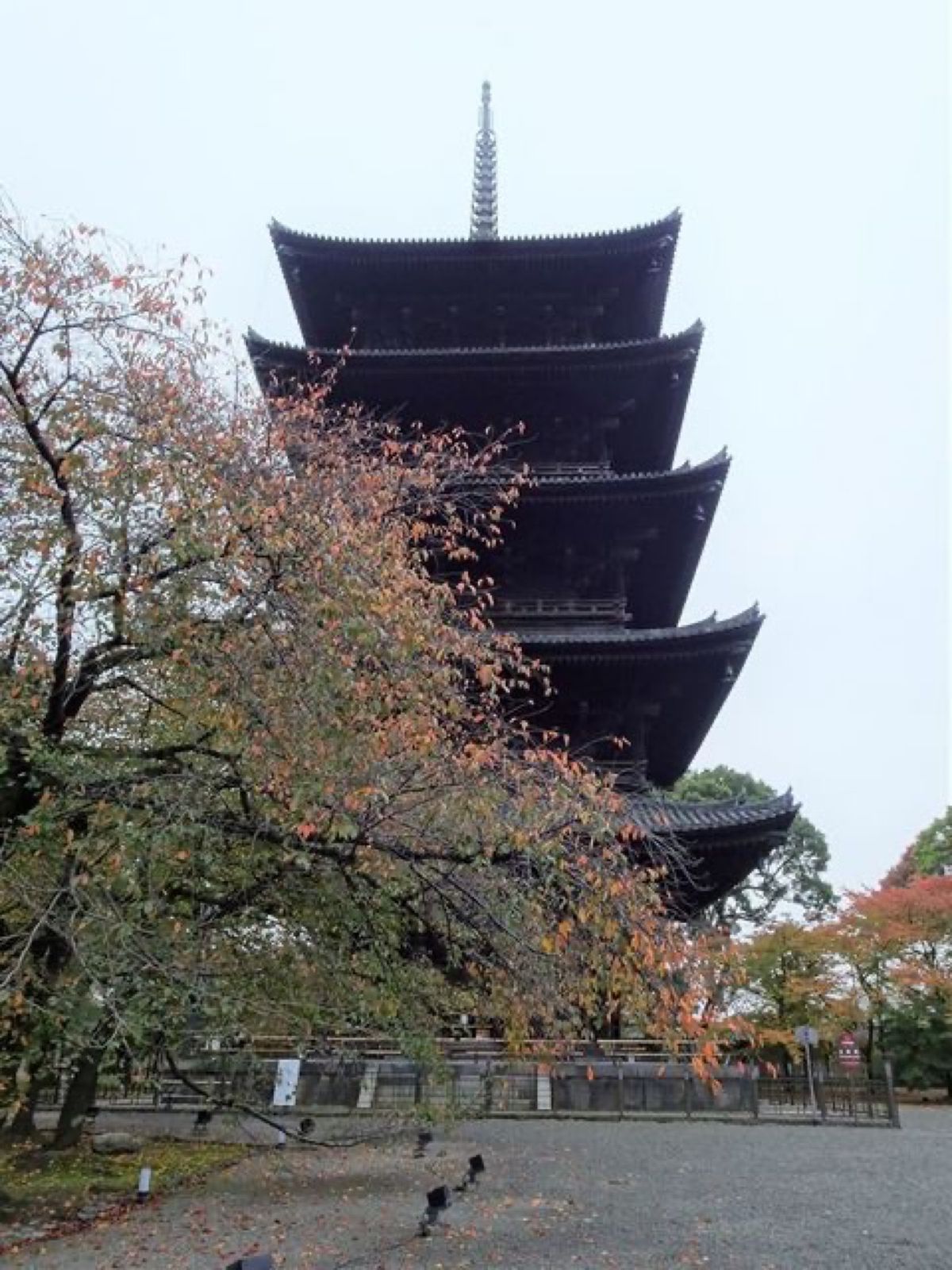 1枚目は御影堂(大師堂)、2枚目は南大門、3枚目は講堂、4枚目は五重塔です📷