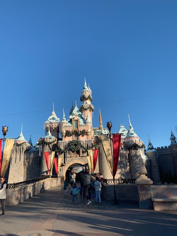 アメリカ(米国)・アナハイム「アナハイム　ディズニーランドでカウントダウン」の写真