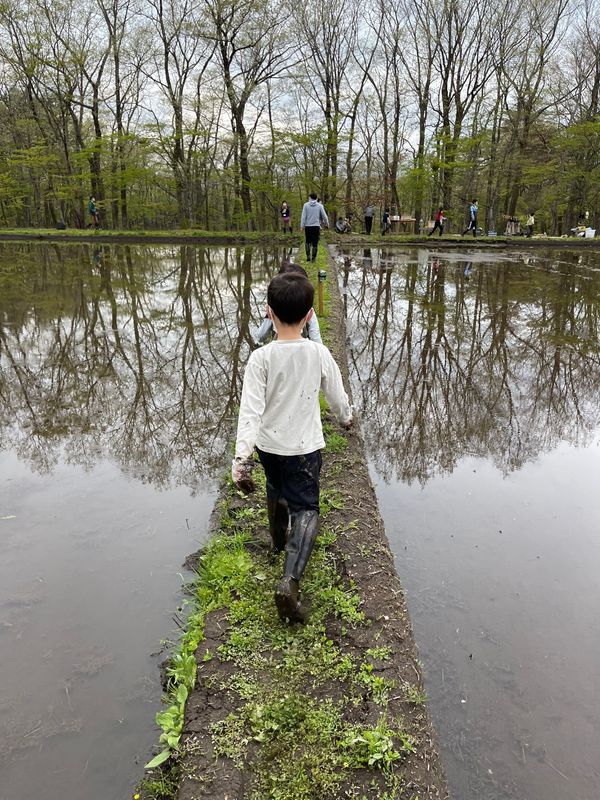 日本・那須「リゾナーレ那須」の写真：人生初の田植え！
田植え中に緊急地震速報...