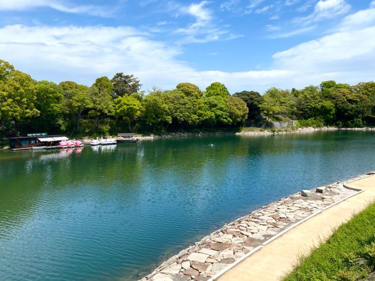 久しぶりに松ぼっくり見た！

🐢と🐸の大きさ同じくらいなんだが…
ガマガエ...