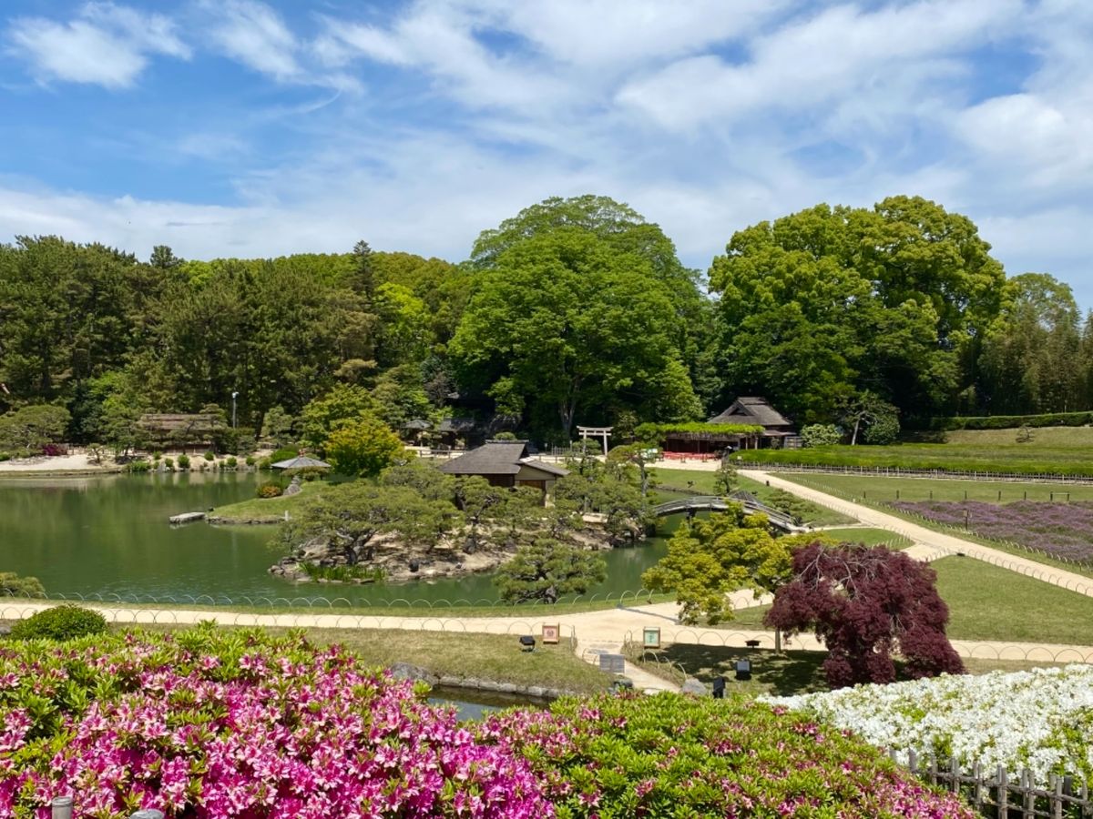 5月だったから
後楽園のあちこちに鯉のぼりが🎏