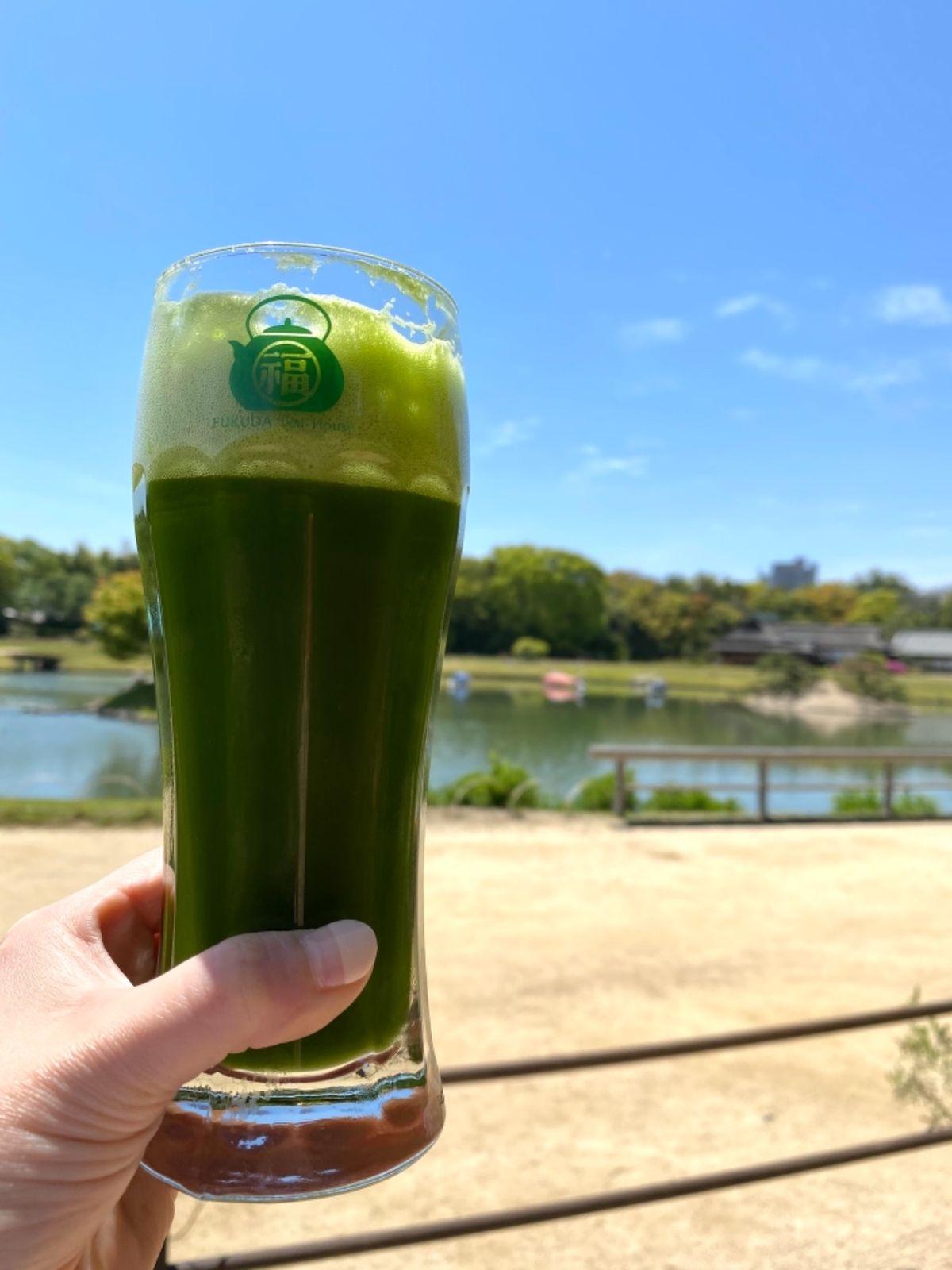 庭のあちこちに日向ぼっこしてる🐢がいて可愛かった❤️

レンゲの花は私が子...