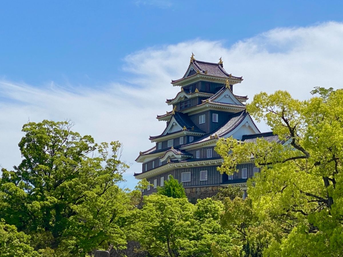 青空に映える岡山城！

吊り橋から見える眺めが1番カッコいい
吊り橋が結構...