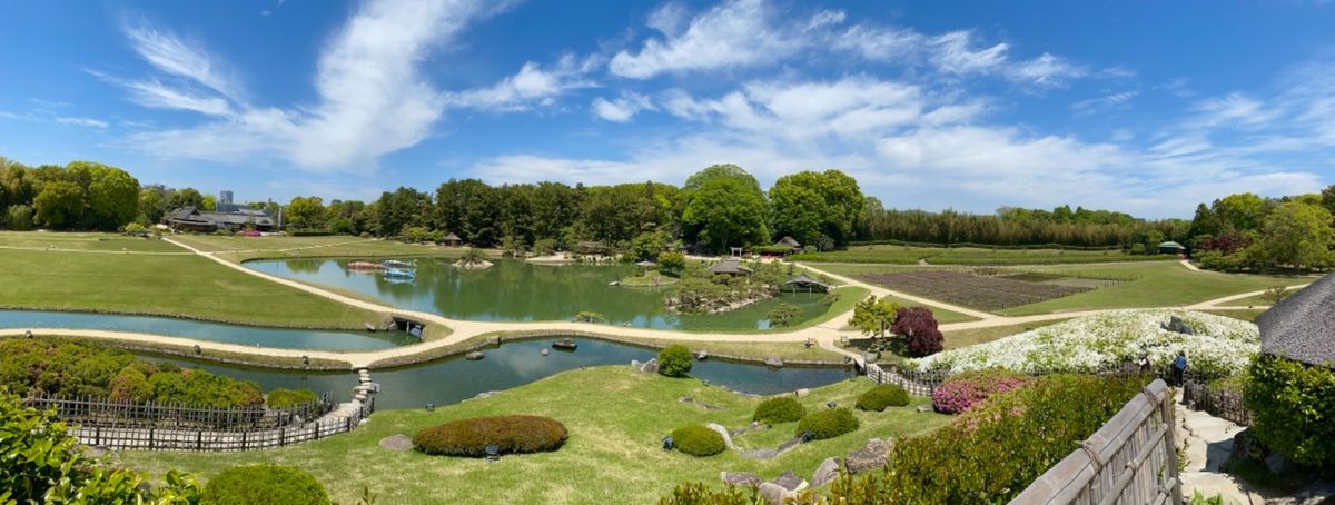 5月だったから
後楽園のあちこちに鯉のぼりが🎏