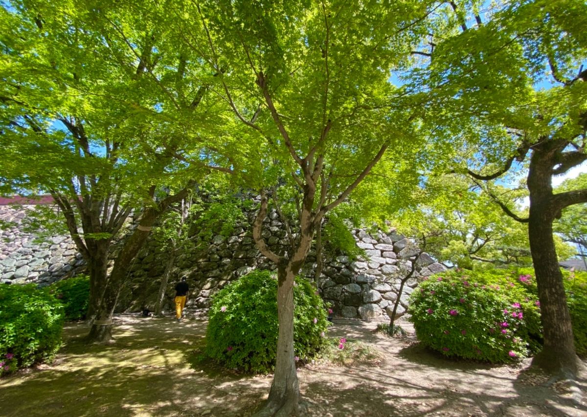 しばらく図書館で過ごしたあとに
岡山城へ

岡山の空気、黄砂ゼロでめっちゃ...
