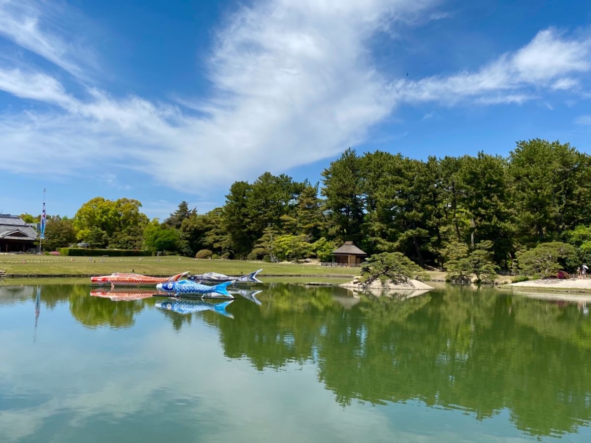 5月だったから
後楽園のあちこちに鯉のぼりが🎏