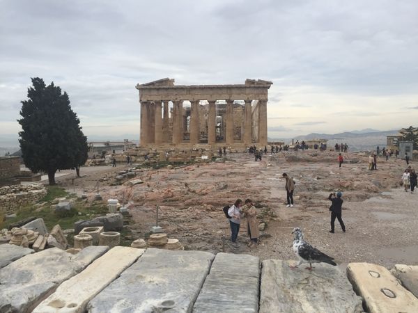 ギリシャ「ギリシャ」の写真