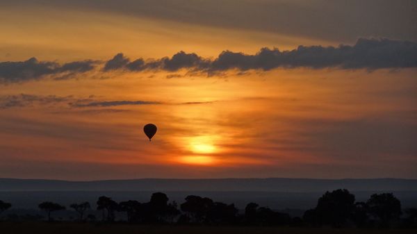ケニア・マサイマラ「憧れのサファリ」の写真