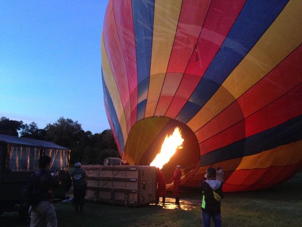 ケニア・マサイマラ「憧れのサファリ」の写真