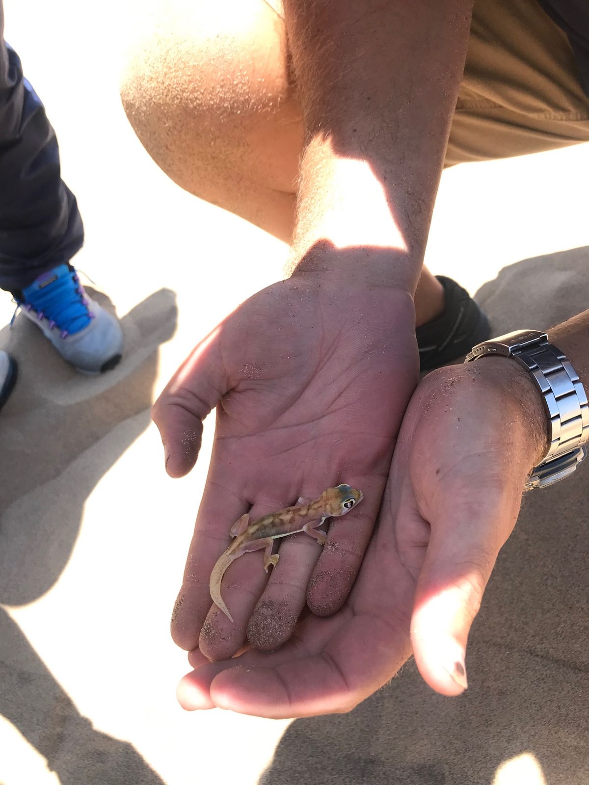 サンドイッチハーバーのツアーをお願いしたのはここです。Sandwich H...