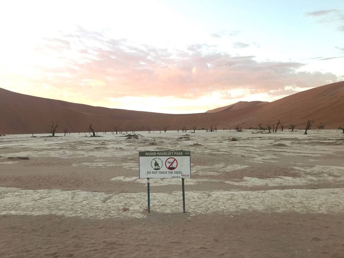 セスリムのキャンプサイトに予約し、有名なSossusvleiという砂漠をタ...