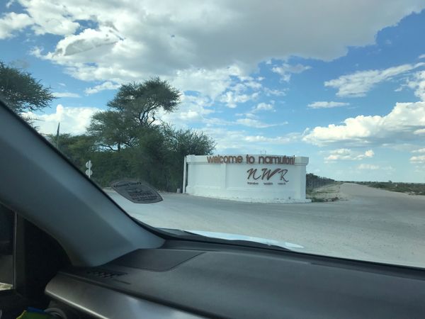 ナミビア・ウィントフック「ナミビア ドライブ旅」の写真：エトーシャ国立公園
https://ww...