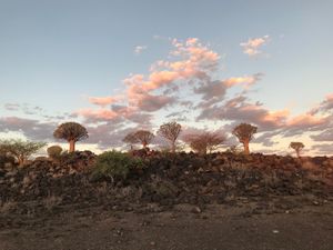 グィーバーツリーを見にケートマンスフープ (
Keetmanshoop)へ...