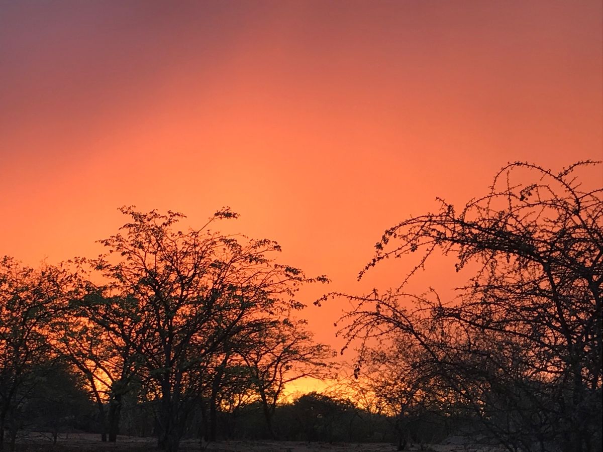 このエリアは大きな岩場を中心としたゲストハウス、キャンプ地とヒンバの人達の...