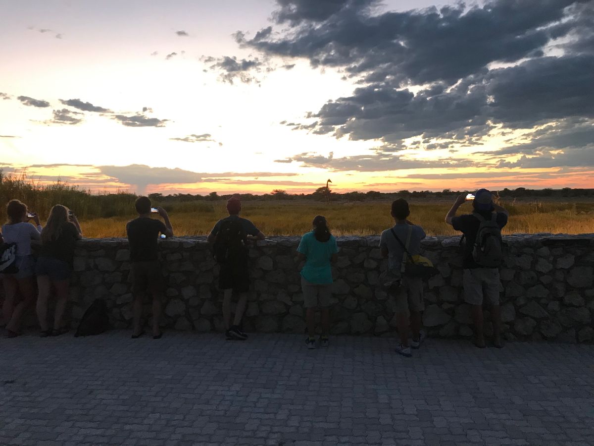 エトーシャ国立公園
https://www.etoshanationalp...