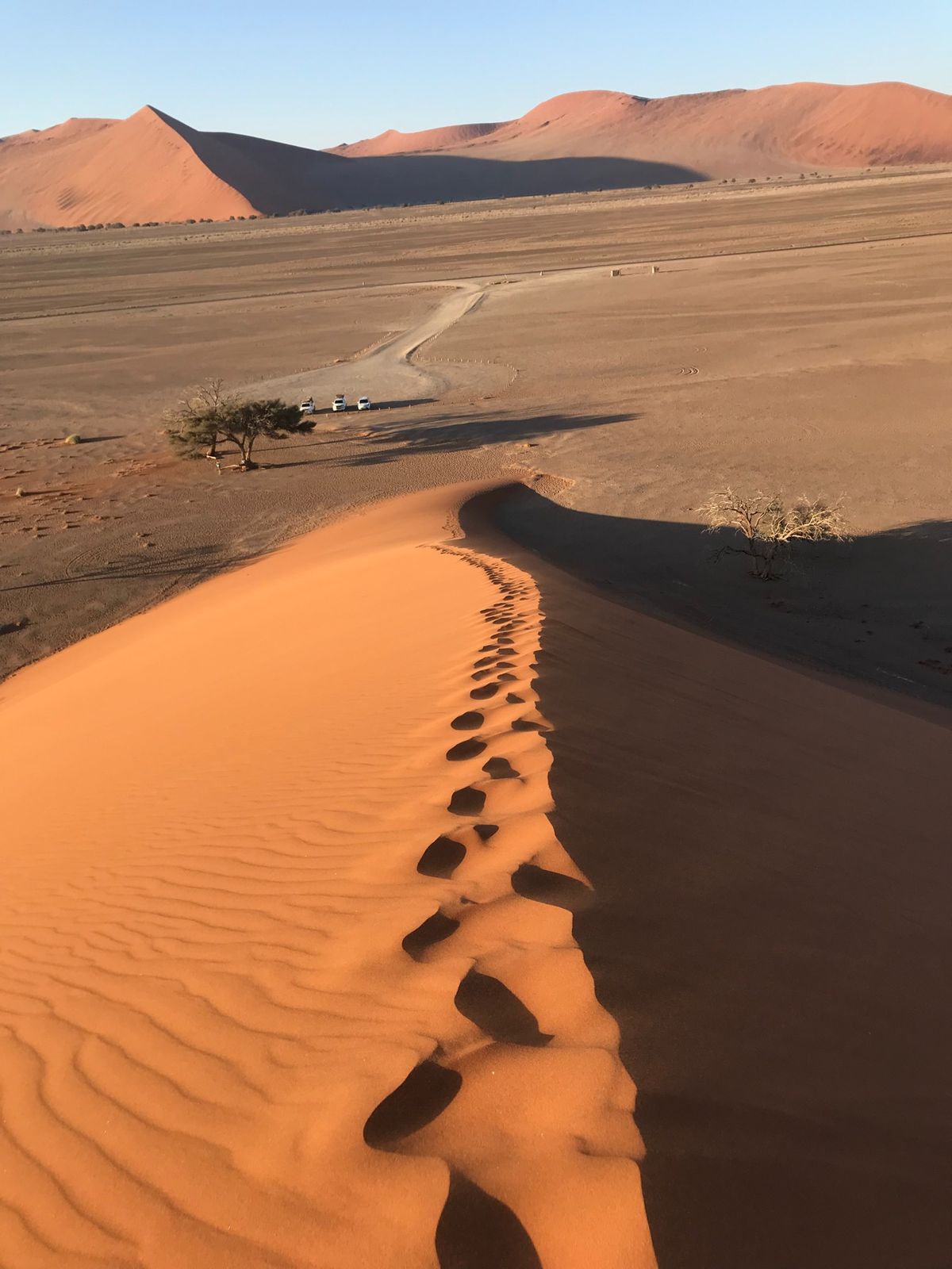 セスリムのキャンプサイトに予約し、有名なSossusvleiという砂漠をタ...