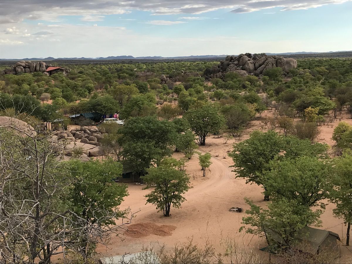 1客限定のキャンプ地なので広々し過ぎて寂しく広々。トイレとシャワーは野手溢...