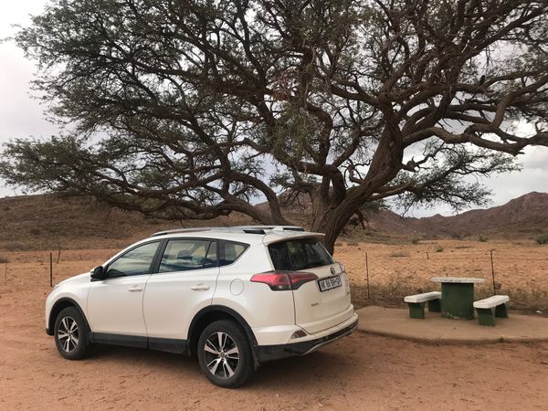 ナミビア・ウィントフック「ナミビア ドライブ旅」の写真：ナミビアの主幹道路は舗装されており、何も...