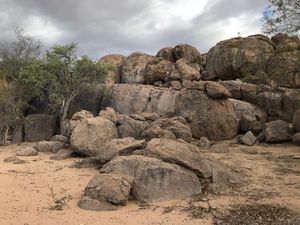 1客限定のキャンプ地なので広々し過ぎて寂しく広々。トイレとシャワーは野手溢...