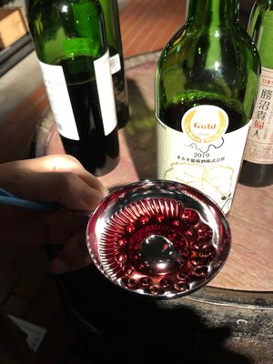 ぶどうの丘🍇でワイン飲みまくり🍷