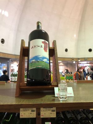ぶどうの丘🍇でワイン飲みまくり🍷