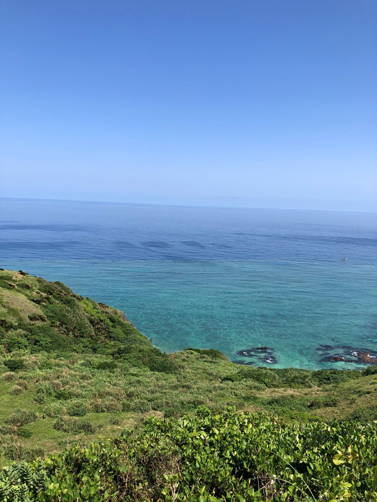 レンタバイクで石垣島周遊🏍
ライダーって意外といないもんだ。
レンタカーが...