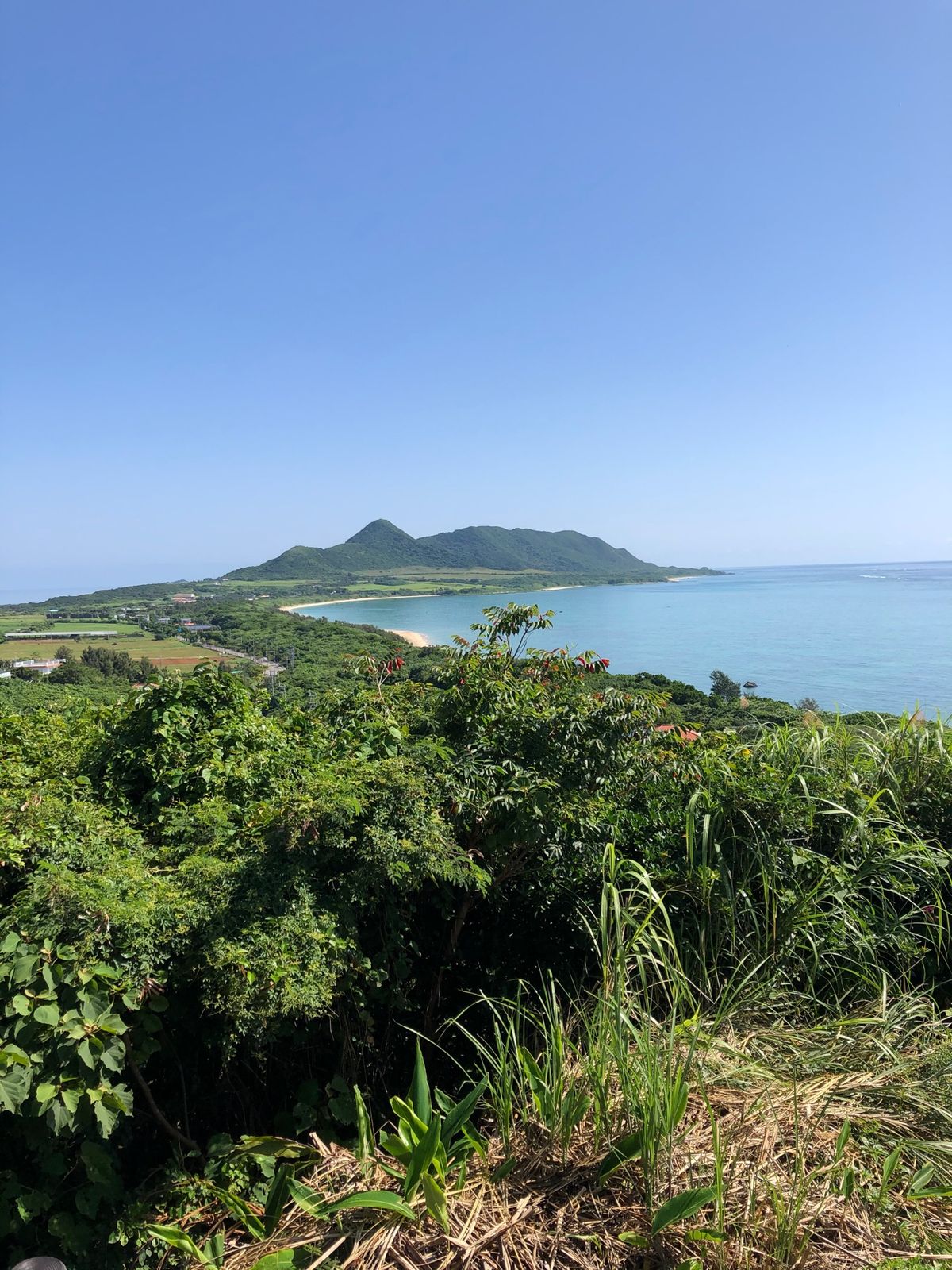 レンタバイクで石垣島周遊🏍
ライダーって意外といないもんだ。
レンタカーが...