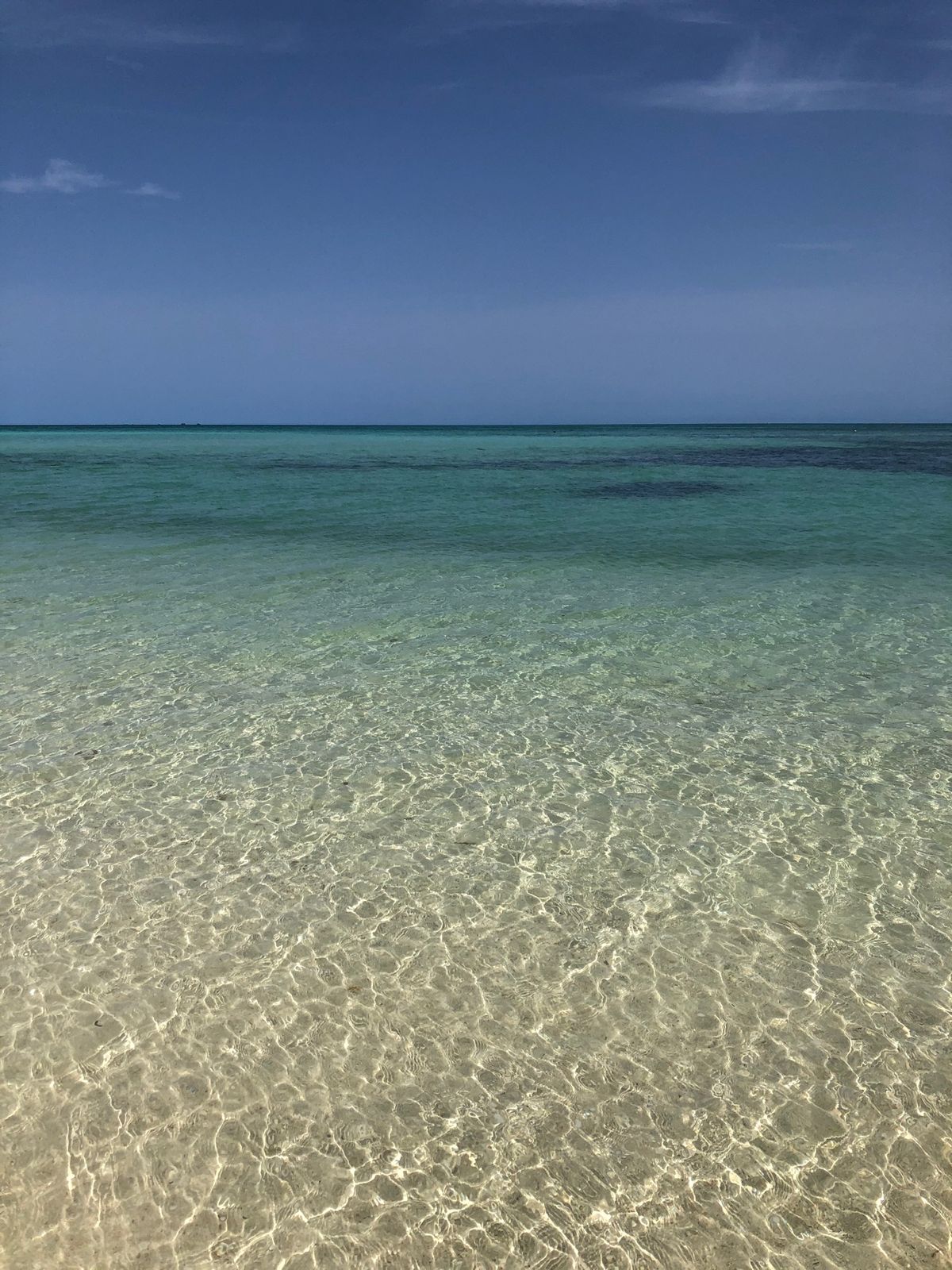 竹富島。
海がとてもキレイでした✨
コンドイ浜は結構人がいました。