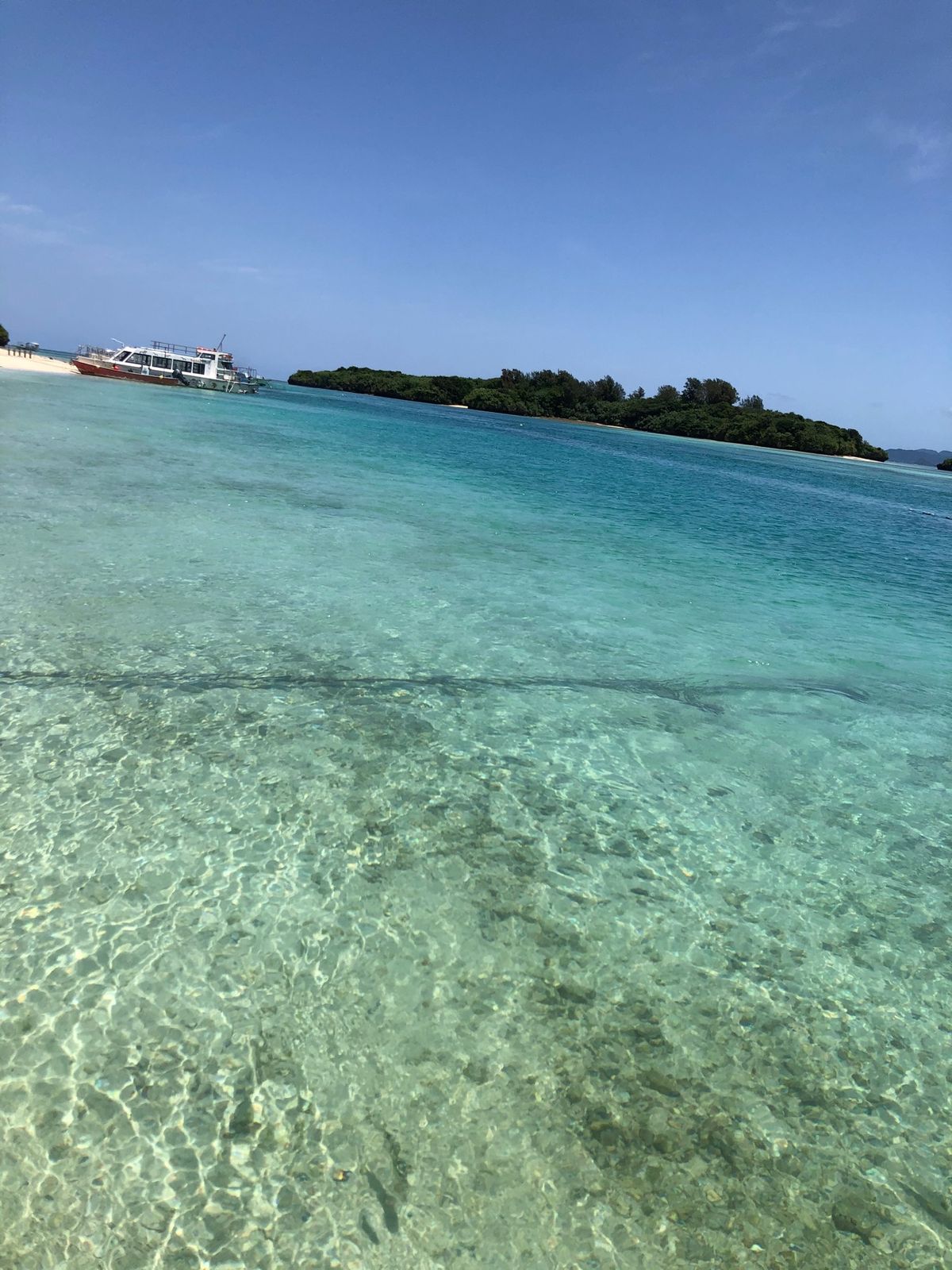 川平湾。
石垣島で一番綺麗だった✨
グラスボードも急遽乗ったけど、850円...