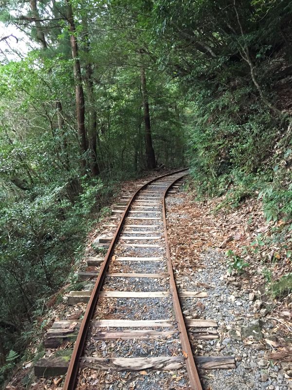 日本・鹿児島県「もののけの森へ　屋久島」の写真
