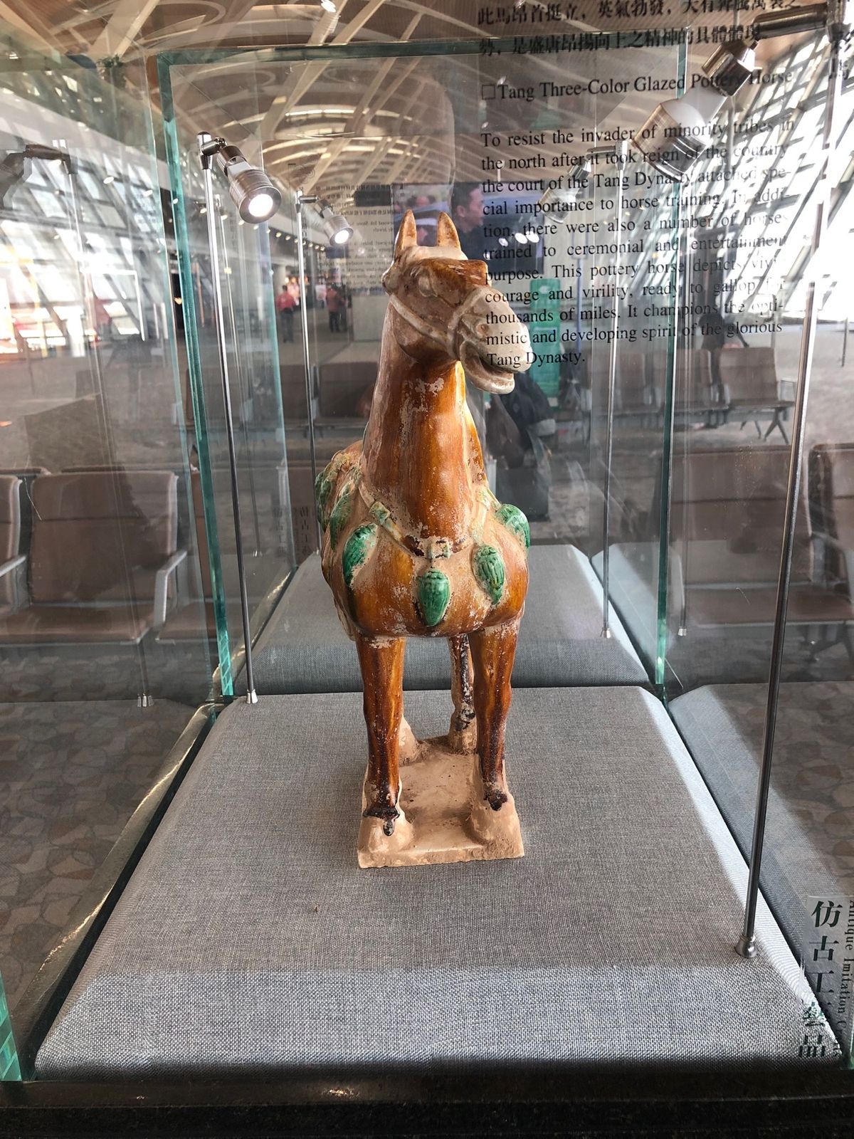 揺れたリニア(笑)マグレブ