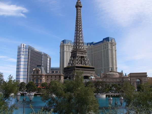 アメリカ(米国)・LA「West Coast」の写真