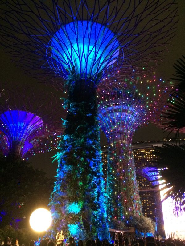 シンガポール・Singapore「Singapore」の写真