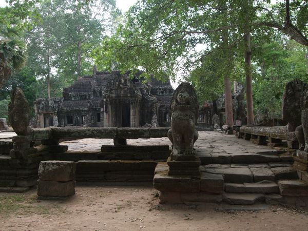 カンボジア・シエムリアップ「カンボジア　アンコール遺跡」の写真：アンコール遺跡　タ・プロム
他国の遺跡に...
