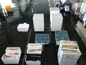 氷見 魚市場食堂(朝食)