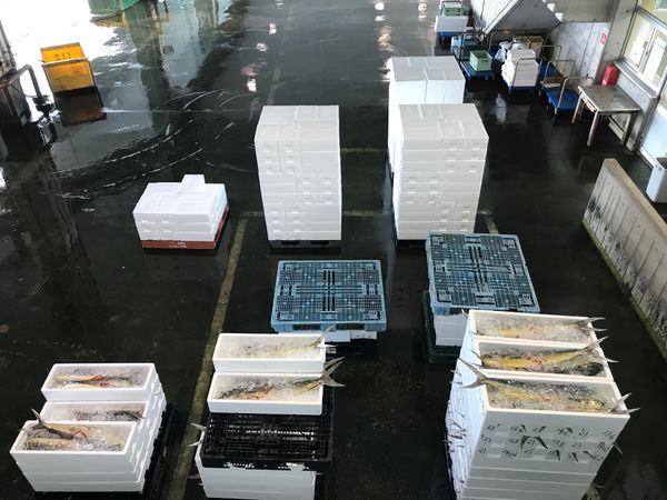 日本・石川県「北陸一人旅2020①」の写真：氷見 魚市場食堂(朝食)